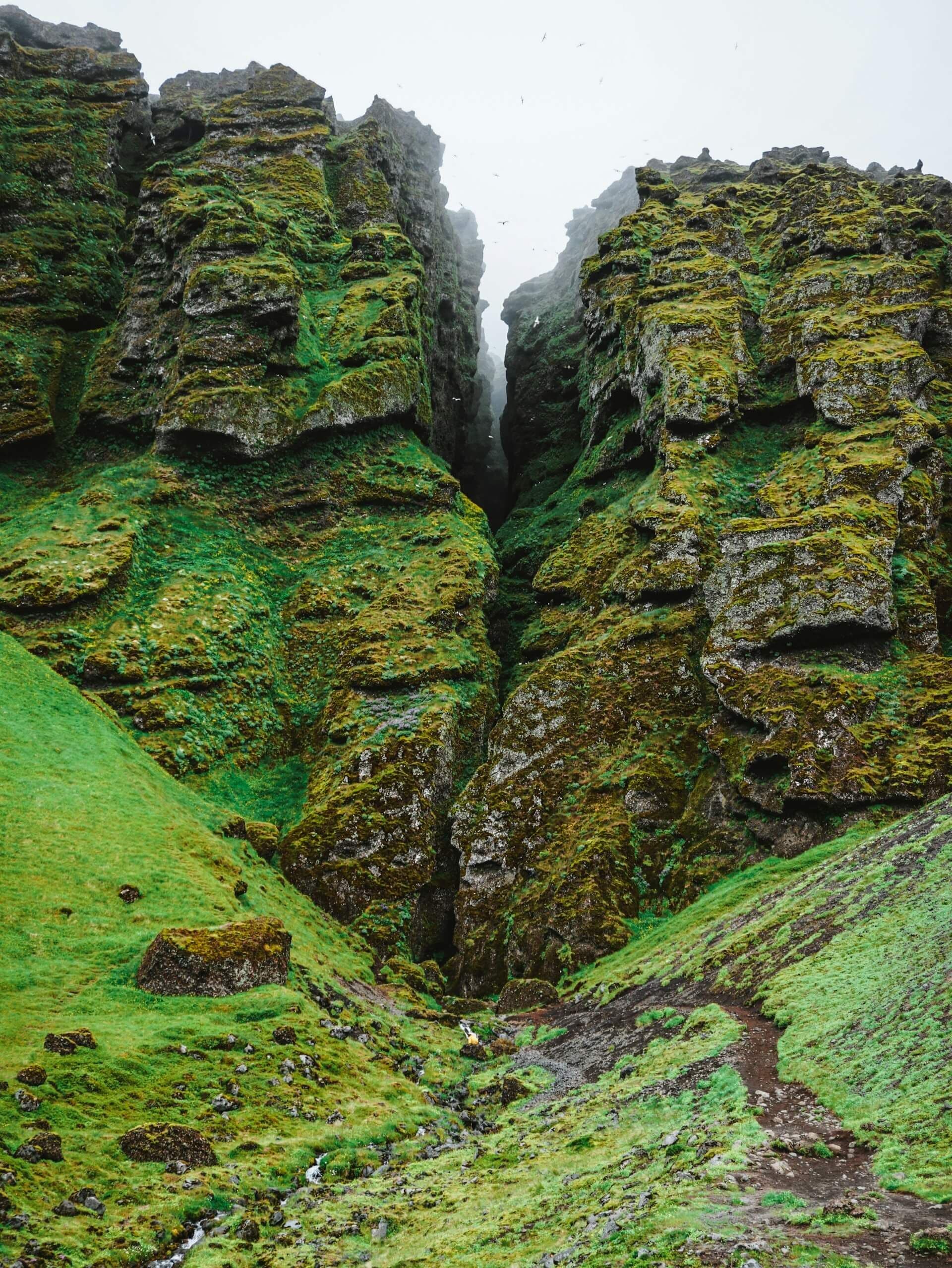 Icelandic cliffs
